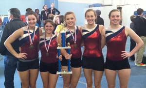 Gymnastics team takes second at state meet 
