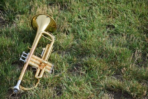 Musicians Take The Field
