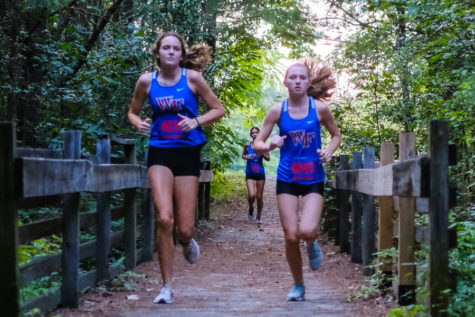 Cross Country Conference Season Preview