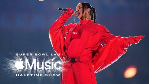 Rihannas Halftime Show Elicits Mixed Reviews